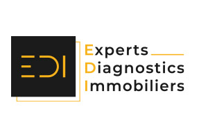 Diagnostiques immobiliers Sarrebourg - Buhl-Lorraine